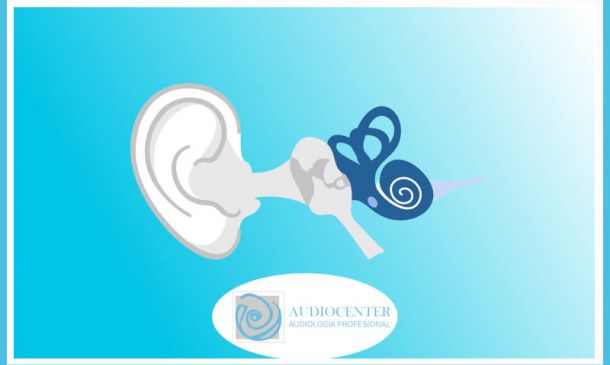 ¿Sabes cómo oímos?