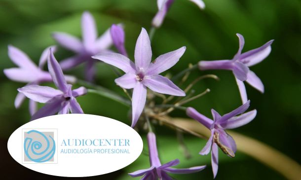 Efectos negativos de las alergias para tus oídos